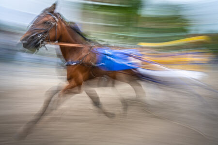 Long track race